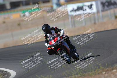 media/May-09-2022-Moto Forza (Mon) [[0226cf3505]]/Group B/B 920am/